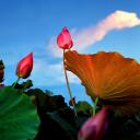 tn_gallery_355_3_25580.jpg