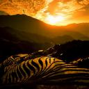 tn_gallery_355_3_62410.jpg